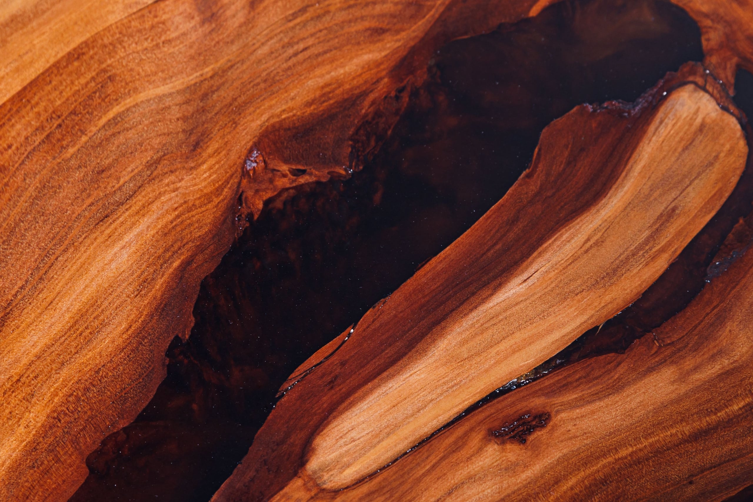 Close-up of swamp kauri grain set in dark resin
