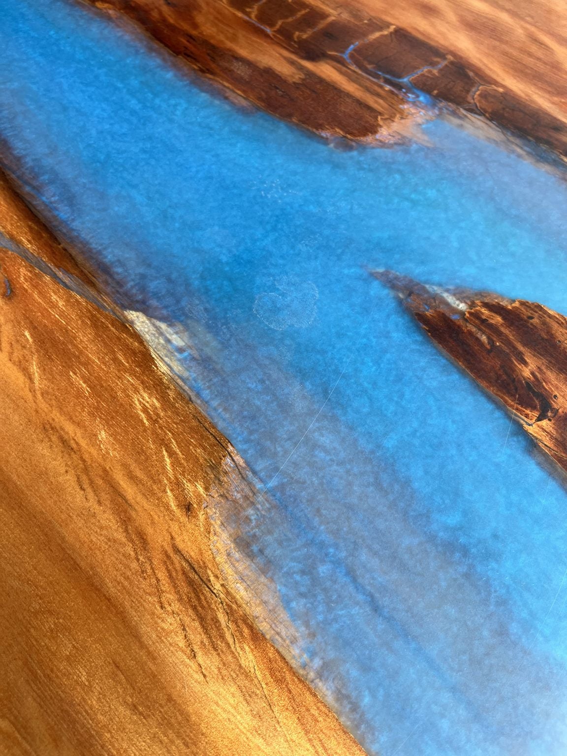 Close-up of blue resin running through swamp kauri